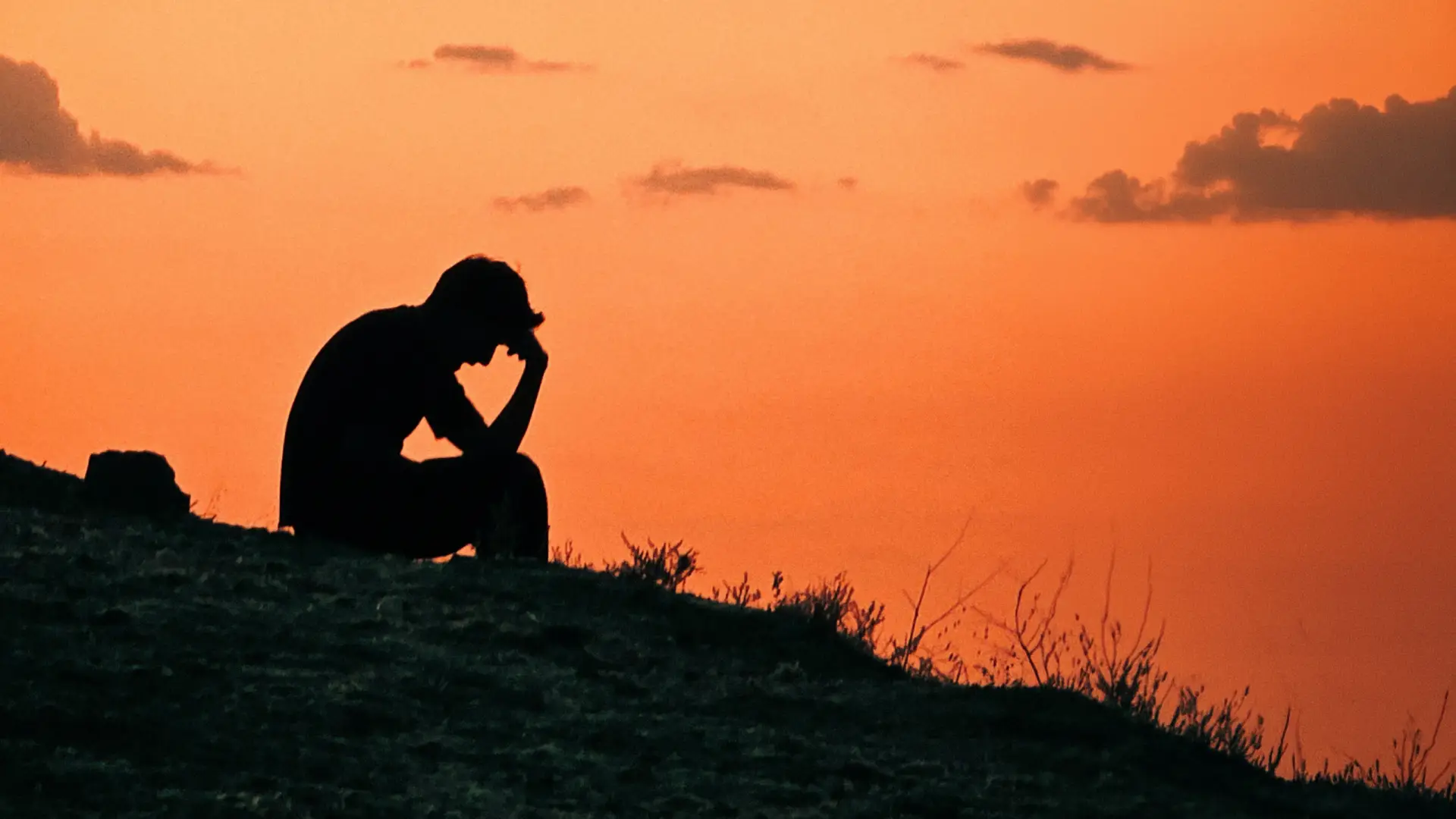 Episode 2 – The Loneliness Epidemic (and Babar)